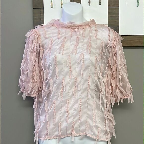 Cliche Blush Pink Sheer Cropped Mock Neck Blouse with Tassels and Tie- S/M - Picture 1 of 16